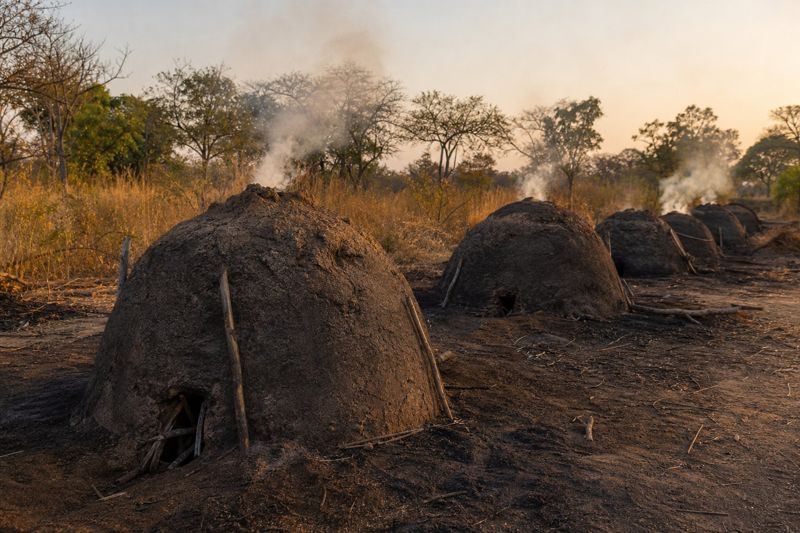 Traditional charcoal kilns in the Nigerian savanna at golden hour